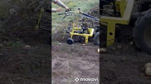 Самодельная картофелекопалка с мотоблоком. Урожай 2022