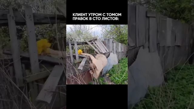 #ремонт #новосибирск #юмор #шутка #контент #щербаков #натяжныепотолки #дизайн смотреть онлайн