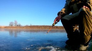 Ловля плотвы на манку | Ловля плотвы на кукурузные палочки на зимний поплавок.