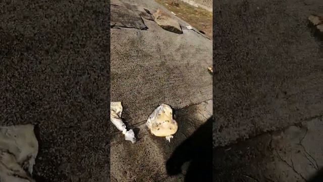 производим не значительные работы на дачи смотреть онлайн