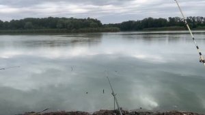 ? РЫБАЛКА НА КУБАНИ . РЕКА ПОНУРА ..КРАСНОДАРСКИЙ КРАЙ!!!