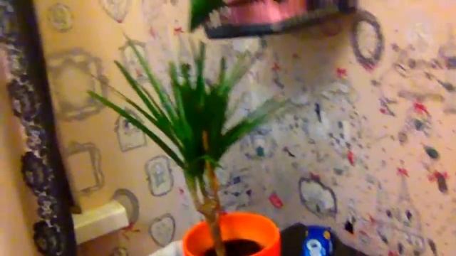 Как стать популярной в школе? Как быть отличником в школе? смотреть онлайн