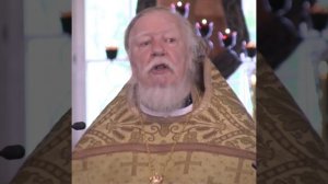 в чем заключается истинное христианство . протоиерей Димитрий Смирнов .