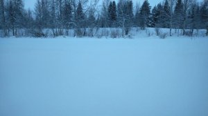 крайний север республика коми ижемский район замело снега в лесу по коле за два дня 15 4.01.2023 г