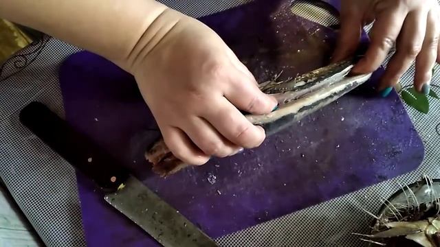 Селёдка для шубы. Быстрый способ почистить селёдку на филе. смотреть онлайн