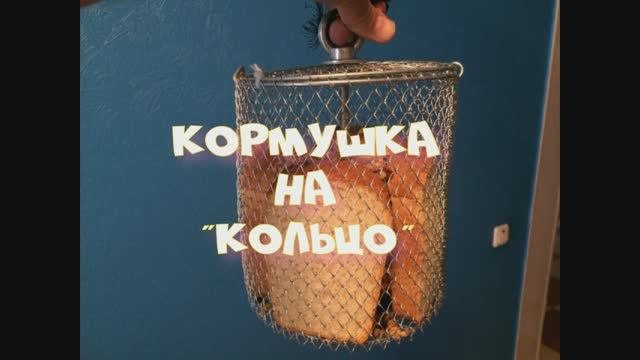#Кормушканакольцо.
