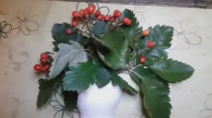 Всё элементарное - просто! Модель из гипса своими руками