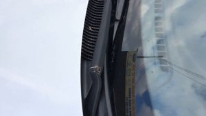 Вода в салоне акцент