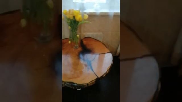 Журнальный столик из поперечного спила кедра