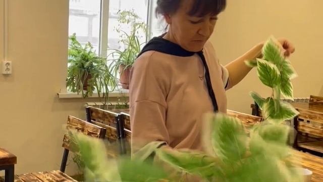 @greenhousedecor  озеленение интерьера