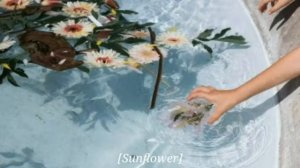 Kaoma • Lambada (Español)