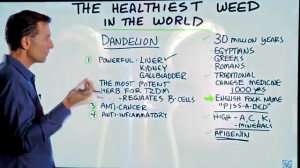 Лечебные свойства одуванчика  Одуванчик   самый полезный сорняк в мире