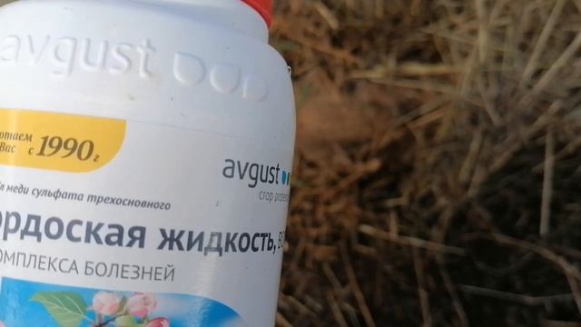 Опять Про Бордоскую Жидкость // Как ЕЕ РАЗВЕСТИ // С.Х.У смотреть онлайн