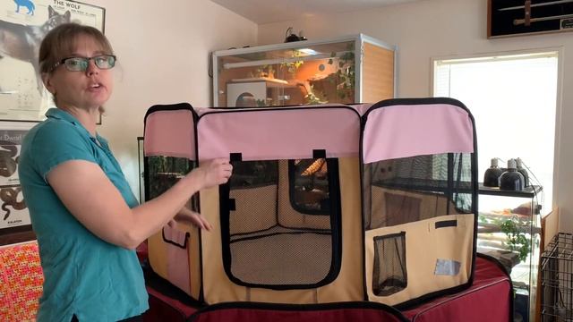 Portable Exercise Pens for Snakes: Set-Up, Safety, Uses смотреть онлайн