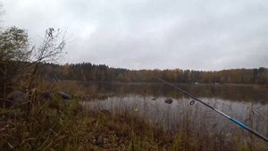Рыбалка на Вуоксе на лосося и Форель, Рыбалка в Ромашках на Вуоксе, Дорога до Барышево.