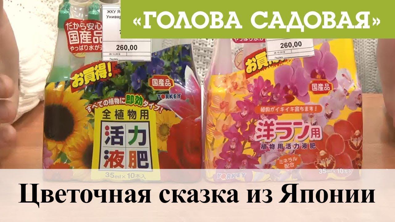 Голова Садовая 2022 Год Новые Видео
