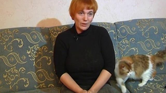 НАПОЛНИТЕЛИ ДЛЯ КОШАЧЬИХ ТУАЛЕТОВ "КОТОFFЕЙ" смотреть онлайн