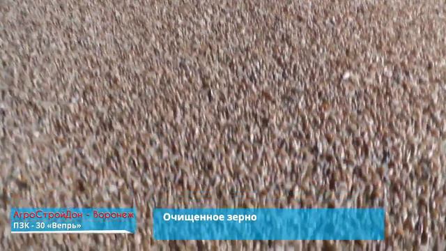 Передвижной зерноочистительный комплекс ПЗК 30 Вепрь