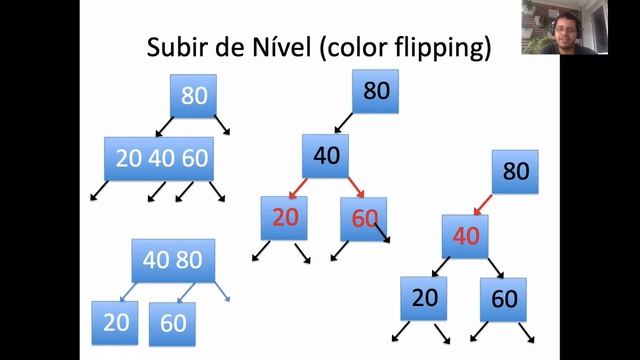 Left leaning Red Black Trees (Árvores Vermelho e Preto) Parte II. смотреть онлайн