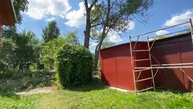 Как правильно удалить старое дерево с участка смотреть онлайн