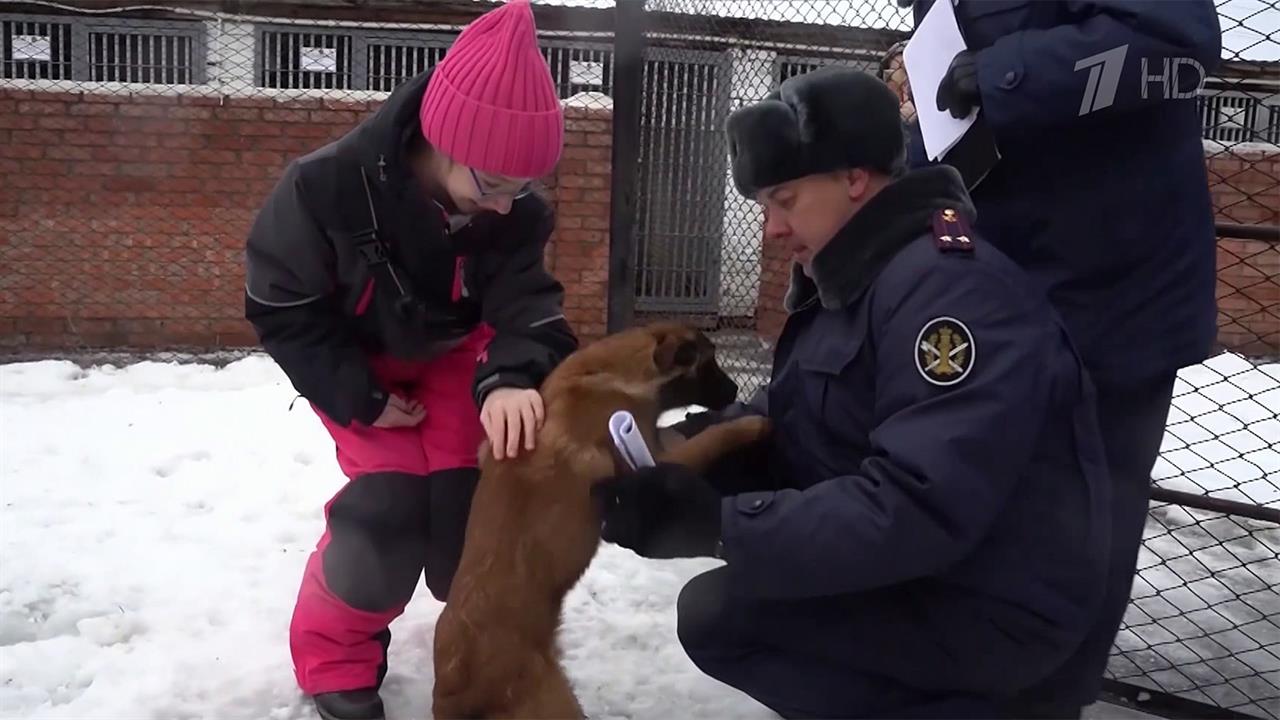 Прошу показать бесплатную