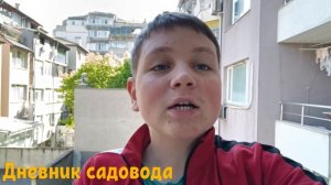 ЯИЧНАЯ СКОРЛУПА ТВОРИТ ЧУДЕСА С ВАШИМ ОГОРОДОМ! Самая эффективная подкормка для вашей рассады
