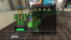 NEW TDS UPDATE New Nametags And CHARMS + LIMITED NAMETAG CODE || Tower Defense Simulator