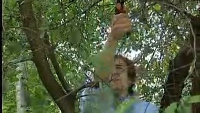 Instrument Fiskars смотреть онлайн