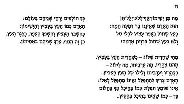 5. Рав Зеэв Султанович комментирует 5-е стихотворение цикла "במעלות השיש הלבן" смотреть онлайн