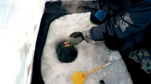 Ловля ЛЕЩА зимой в удовольствие! Зимняя рыбалка 2019