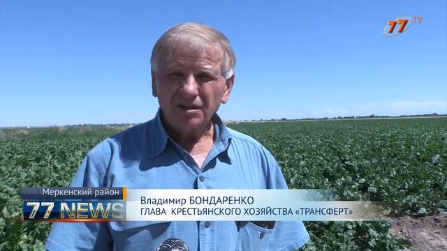 САХАРНАЯ СВЕКЛА В ПРИОРИТЕТЕ