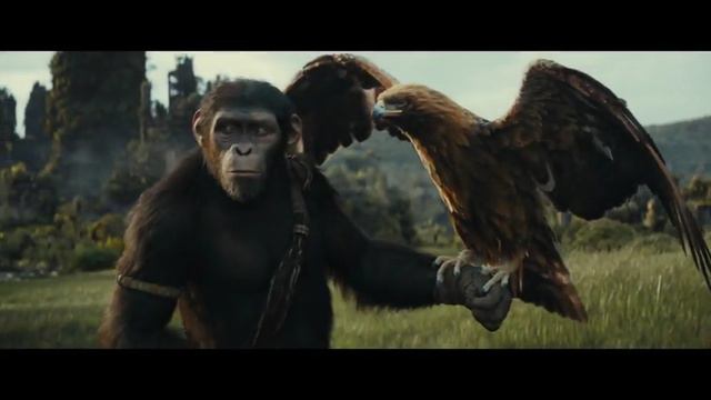трейлер - Планета обезьян: Новое царство 2024 смотреть онлайн