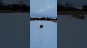 РЕКОМЕНДУЮ. ИСПЫТАНИЯ ТРИ ПУЛИ ПАСТУХОВА В ПАТРОНЕ 32 КАЛИБРА