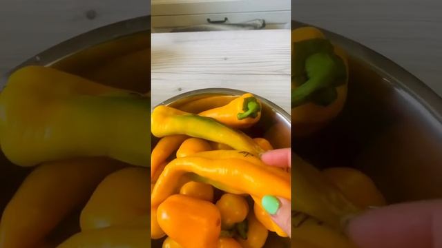 А Вы знали? Перец желтый, но острый! Удивительный перец! смотреть онлайн