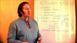 Крылья человека