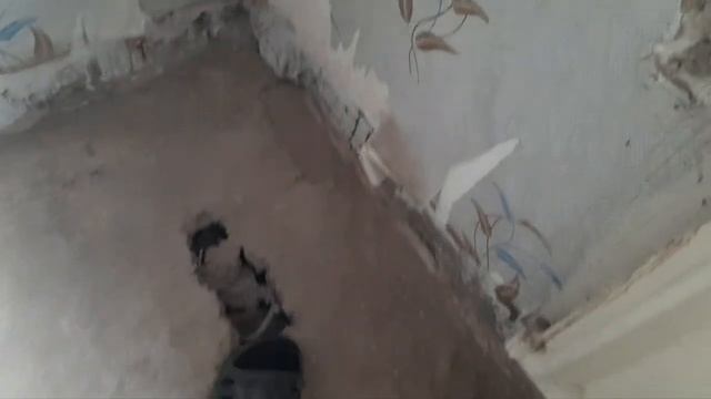 Вскрыл деревянный пол в панельном доме 1994 года.mp4 смотреть онлайн