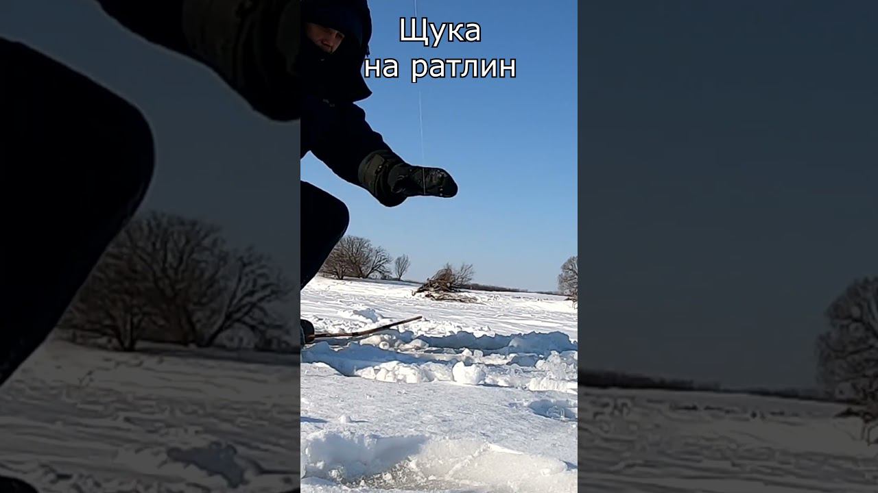 Щука на ратлин #рыбалка #яспиннингист #первыйлед смотреть онлайн