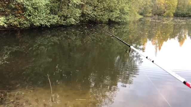 Виды рыбалки на спиннинг 
Какие бывают.