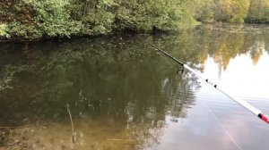 Виды рыбалки на спиннинг
Какие бывают.