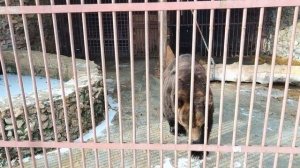 Эко-парк Зюраткуль