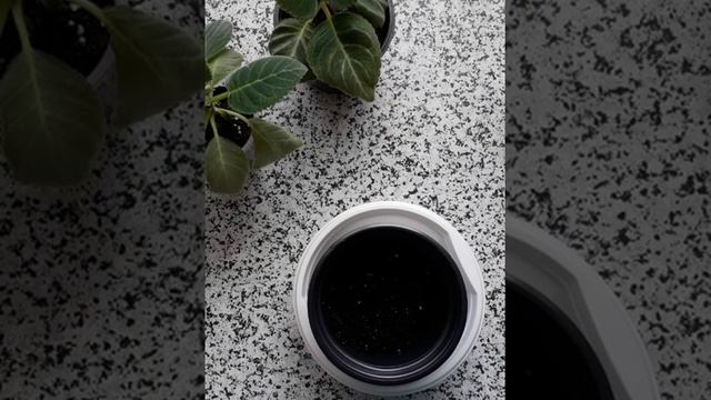 пересадка глоксиний
