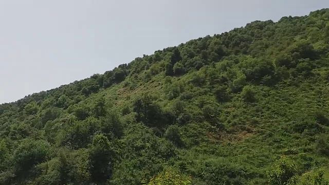 Горы Чарвак. Июнь 2018 смотреть онлайн