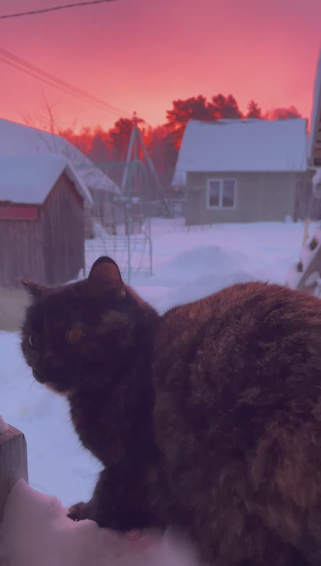 Глаз не оторвать, огненный рассвет ?