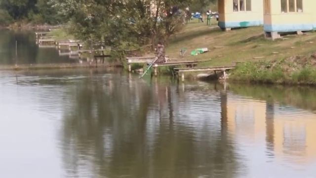 рыбалка рыбалка в подмосковье карп ловля карпа суперкарп белеутово karp fishing смотреть онлайн