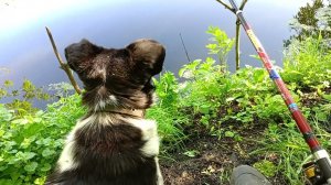 4 июня 2024 г.