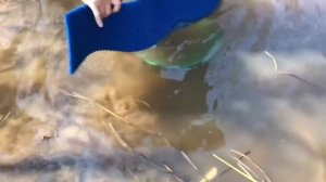 Все для поиска золота. Производственные испытания мини-драги Дипсис-20/25 с эжектором 2”