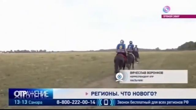 Канал ОТР о Черкесском дерби.  на 1000 км за 10 дней / Кабардинская порода лошадей