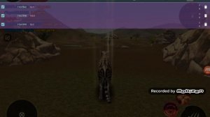 How To Hack The Cheetah! •TUTORIAL•