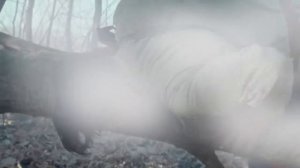 Песня казачки