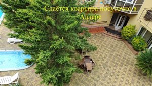 Квартира Южных культур 7